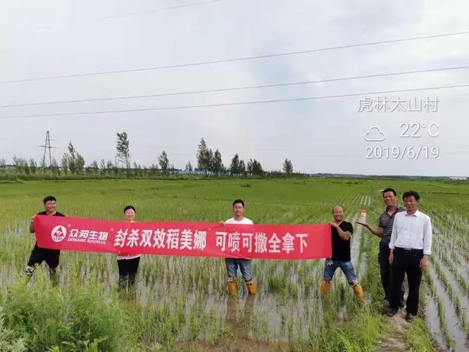 东北地区众邦稻美娜蓄势待发，施之至网络